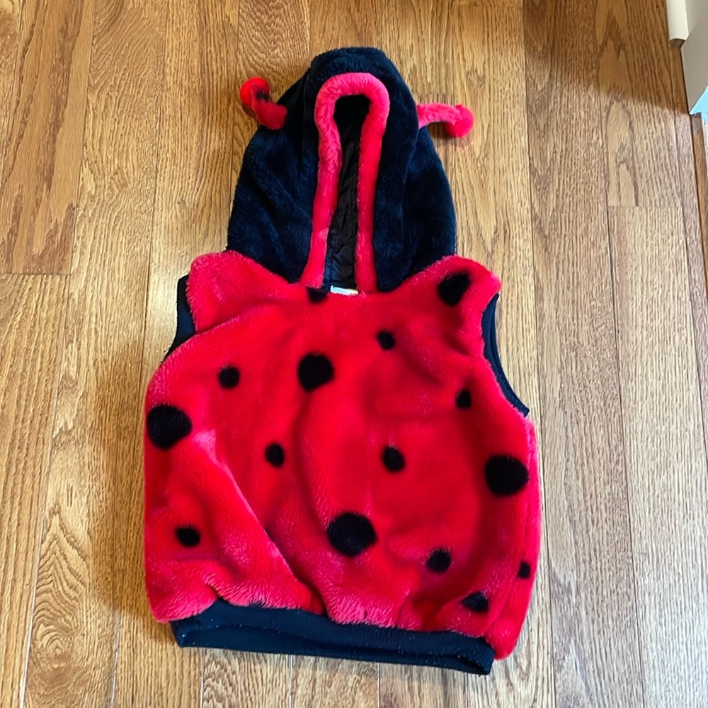 Lady Bug Halloween Costume fits size 1 to 3 years  So Cute!!